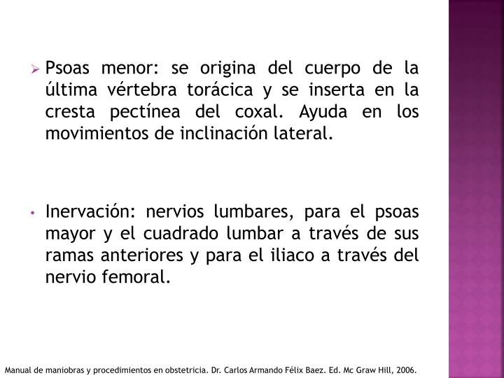 PPT - Pared abdominal y canal inguinal PowerPoint Presentation - ID:2188472