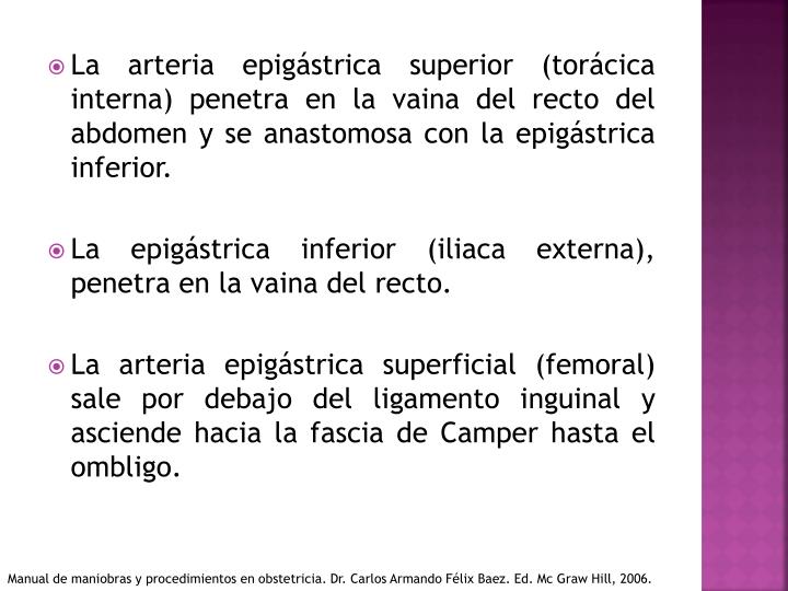 PPT - Pared abdominal y canal inguinal PowerPoint Presentation - ID:2188472