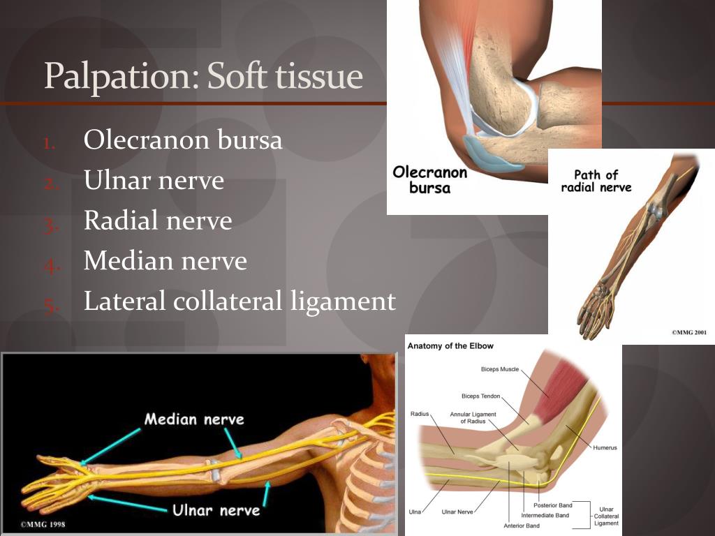 PPT - Elbow evaluation PowerPoint Presentation, free download - ID:2188562