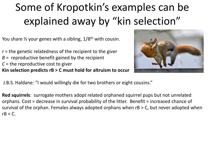 PPT - Animal Altruism PowerPoint Presentation - ID:2188873