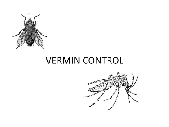 PPT VERMIN CONTROL PowerPoint Presentation, free download ID2188930