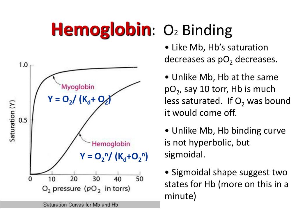 PPT Chemical Biology 03 BLOOD PowerPoint Presentation, free download