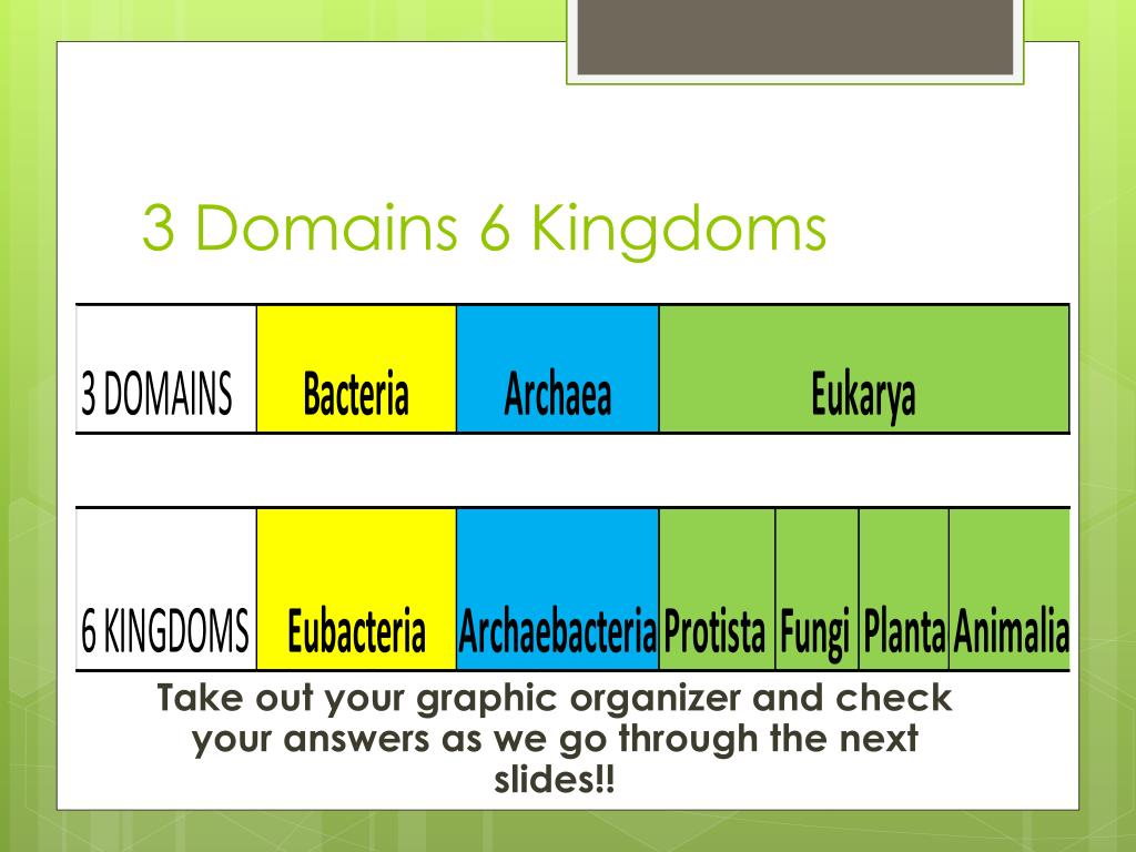 PPT Domains and Kingdoms PowerPoint Presentation, free download ID