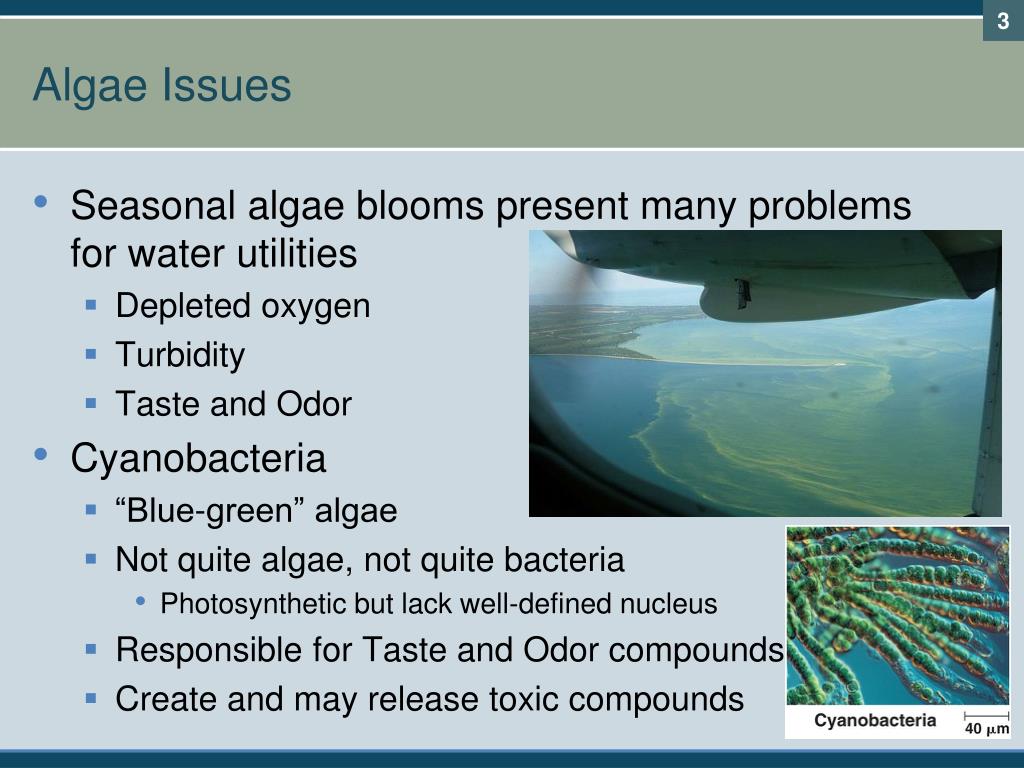 PPT UV Advanced Oxidation for Treatment of Taste and Odor and Algal