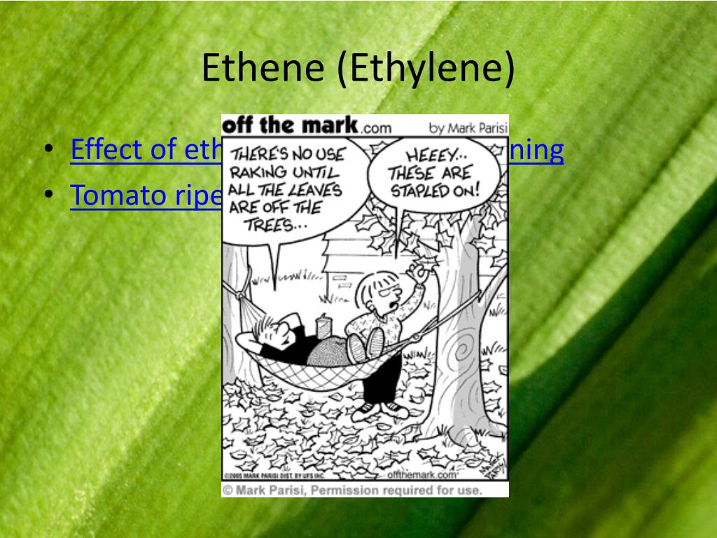 PPT Factors that Affect Plant Growth PowerPoint Presentation, free