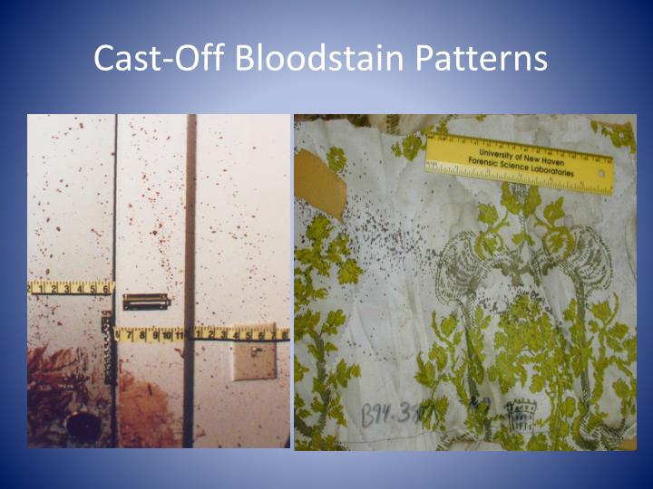 PPT Bloodstain Pattern Analysis PowerPoint Presentation ID2193218