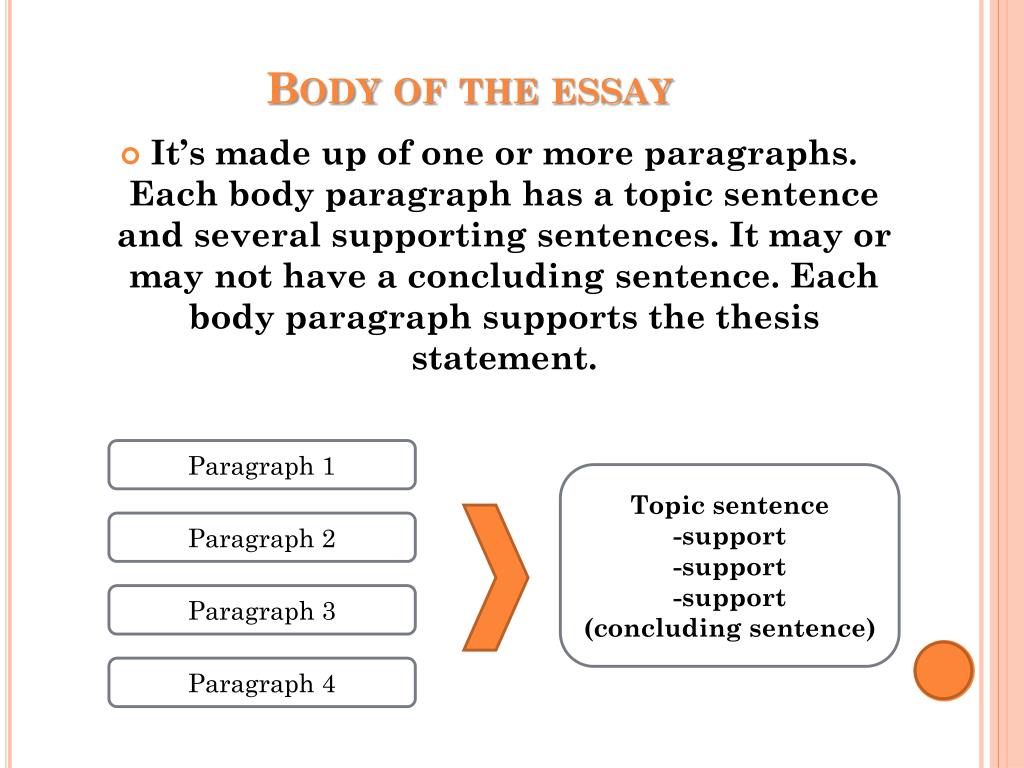 body of an essay is made up of