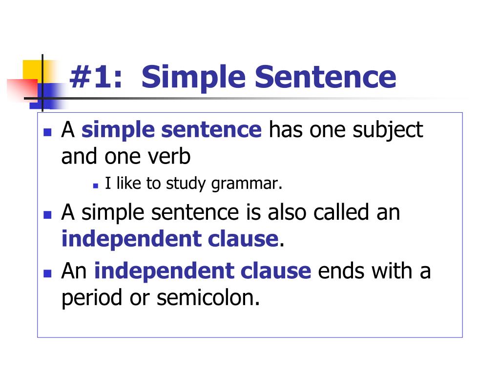 5 simple sentence. Simple sentence.