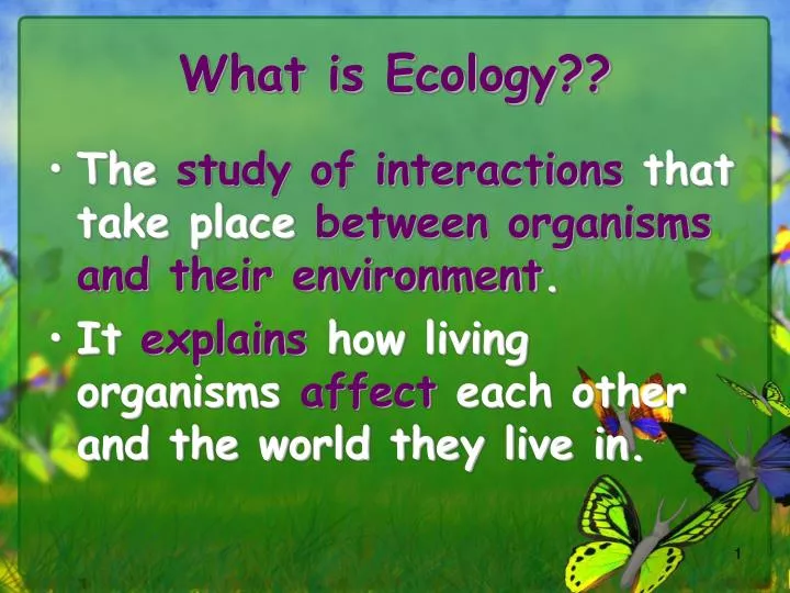 ppt what is ecology powerpoint presentation id 2195997 what is ecology powerpoint