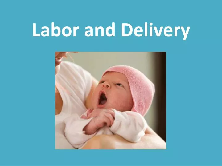 labor and delivery n.
