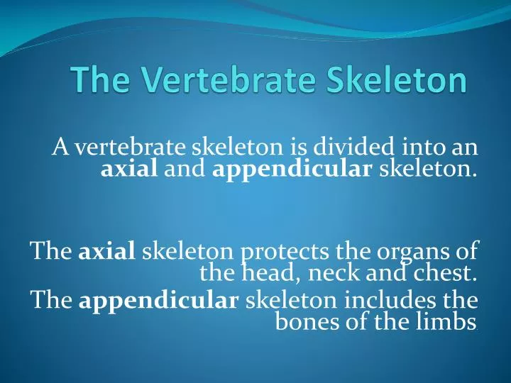 the vertebrate skeleton n.
