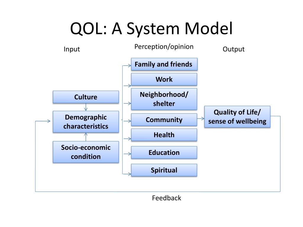 PPT Understanding Quality Of Life Level Vs Standard PowerPoint PPT Understanding Quality Of Life Level Vs Standard PowerPoint