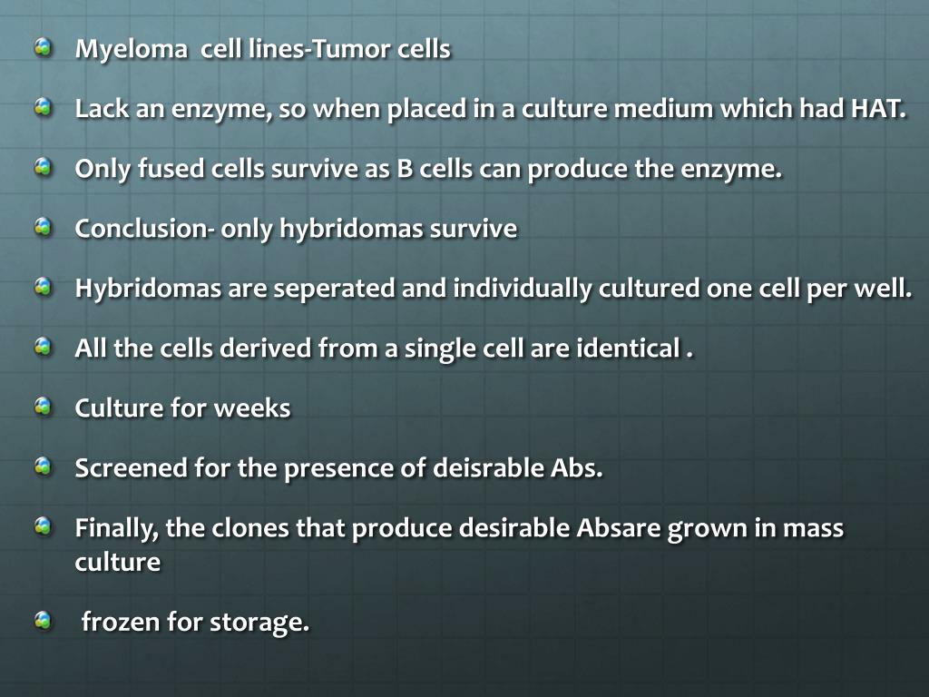 PPT - Production of Monoclonal antibodies PowerPoint Presentation, free ...