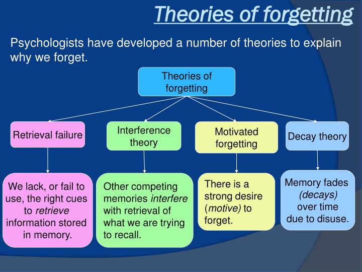 essay on psychology forgetting