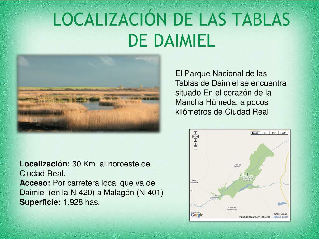 PPT - LAS TABLAS DE DAIMIEL PowerPoint Presentation, free download -  ID:2201223