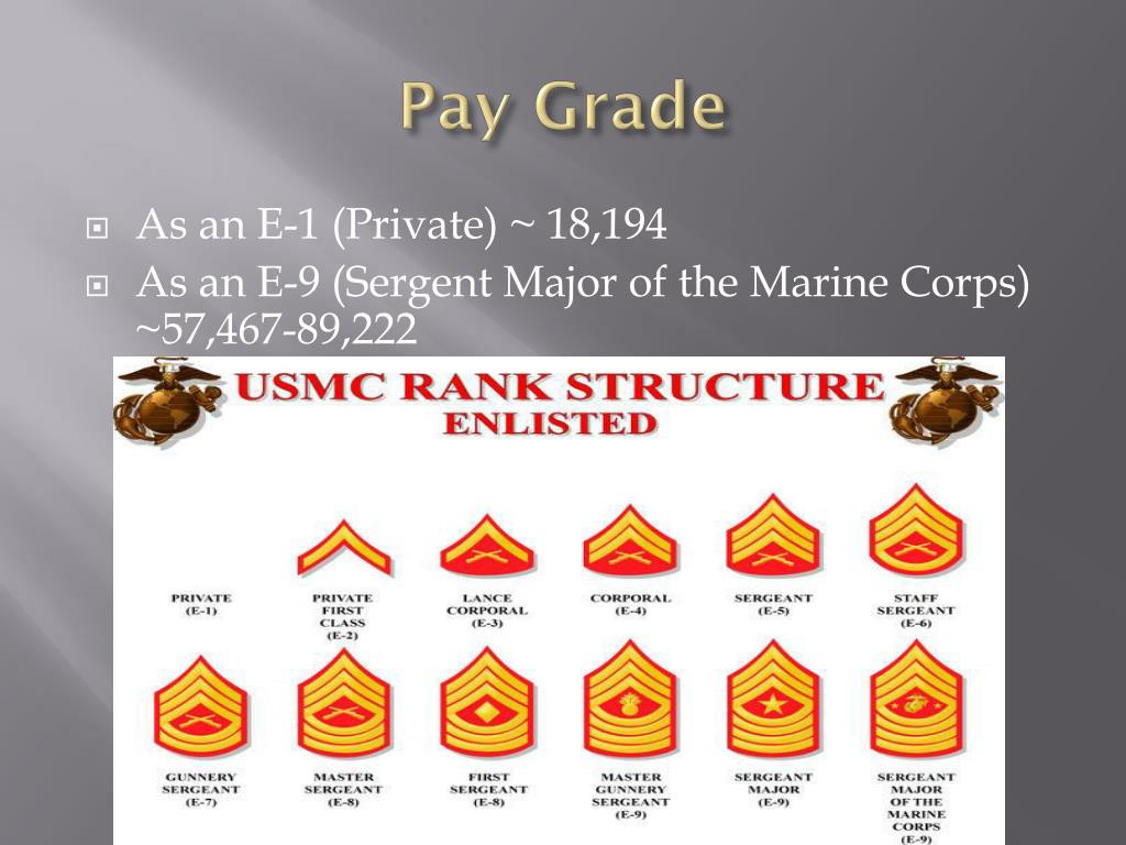 PPT - Marine Corps Military Police PowerPoint Presentation, free ...
