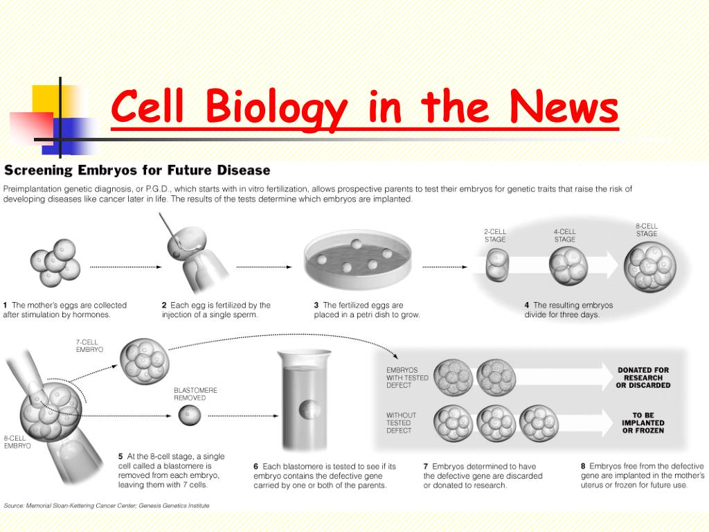 PPT - The Science Of Life PowerPoint Presentation, Free Download - ID ...