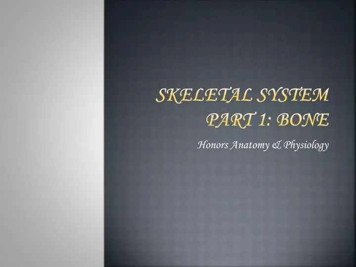skeletal system part 1 bone n.