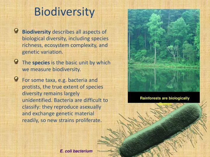 ppt-biodiversity-powerpoint-presentation-free-download-id-2202180
