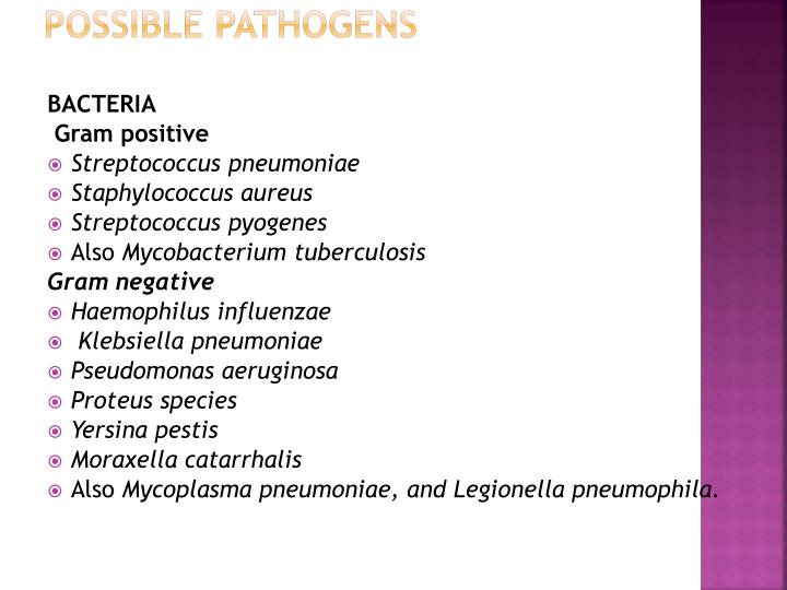 ppt examination of sputum powerpoint presentation id 2203506 mycoplasma pneumoniae gram stain