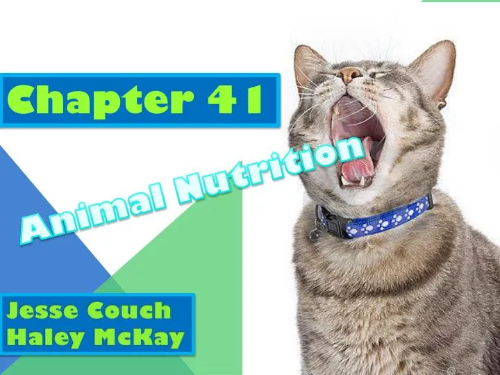 PPT - Animal Nutrition PowerPoint Presentation, free download - ID:2203821