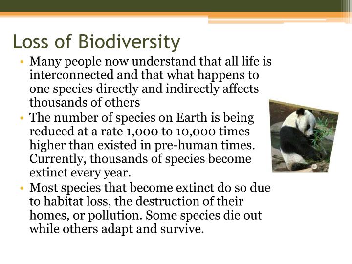 loss of biodiversity loss of biodiversity