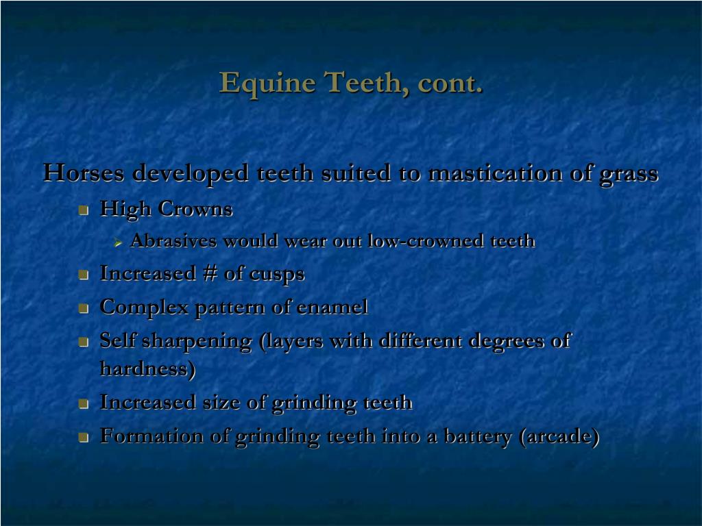PPT Equine Dental Abnormalities & Dentistry Brendan Kraus, DVM Photos