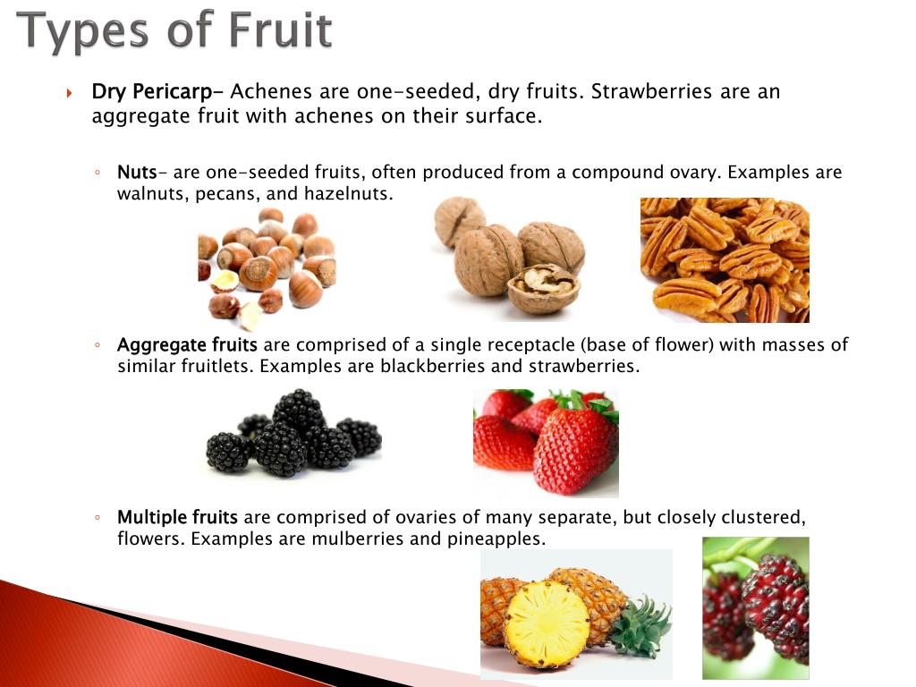 The fruits are together перевод. Types of Fruits. Fruitlet. Match Seed to Fruit. Are you Nuts.