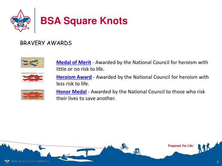 Bsa Ppt Template Bsa Ppt Template