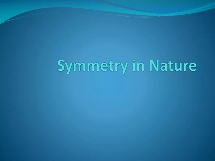 symmetry in nature n.