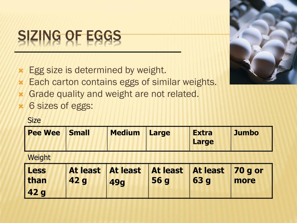 grade weight calculator ben egg