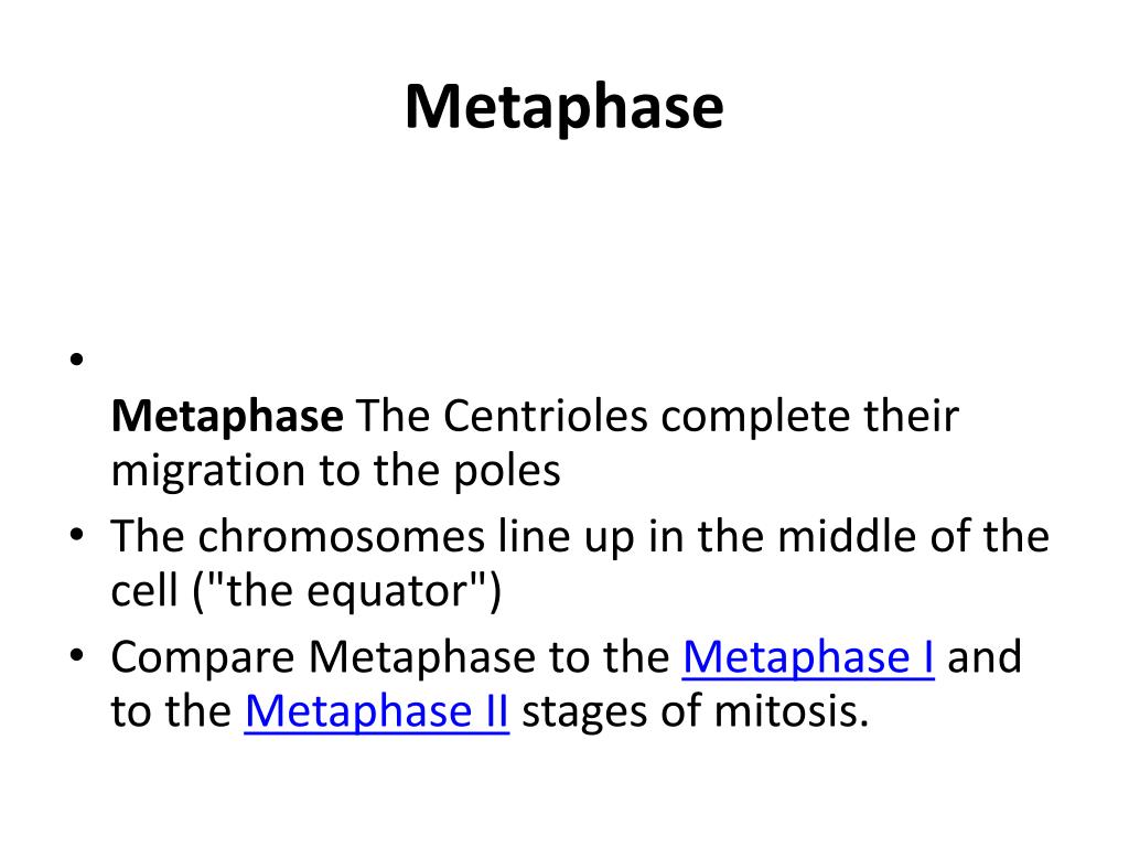 PPT - Cell Division, Mitosis, and Meiosis PowerPoint Presentation, free ...