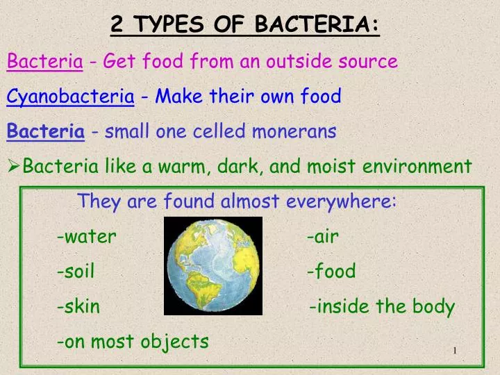 PPT 2 TYPES OF BACTERIA Bacteria Get food from an
