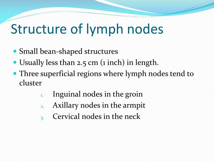 PPT LYMPHATIC SYSTEM PowerPoint Presentation ID2206087