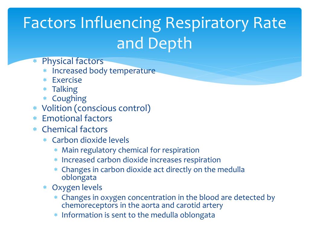 PPT - Chapter 13 Respiratory System PowerPoint Presentation, free
