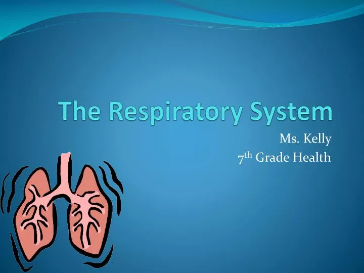 Ppt The Respiratory System Powerpoint Presentation Free Download