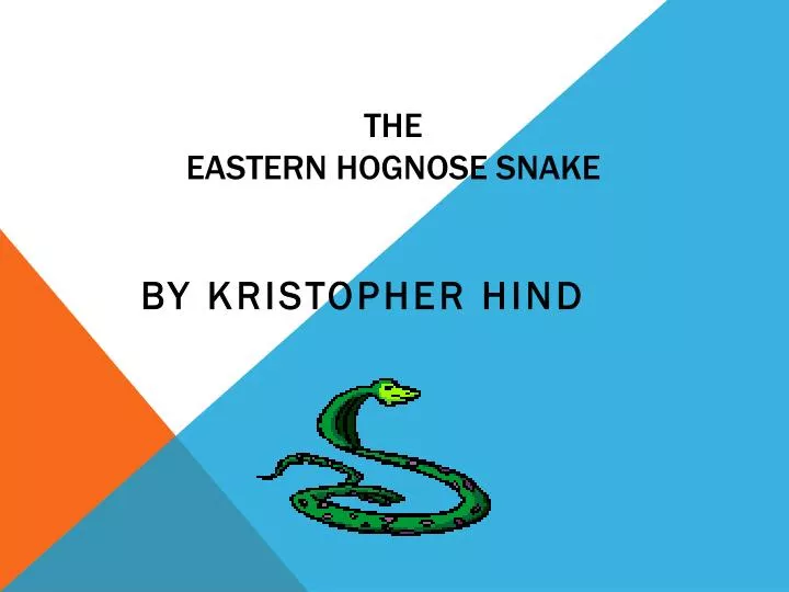 the eastern hognose snake n.