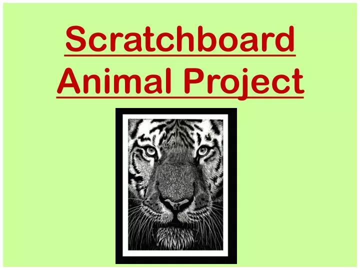 scratchboard animal project n.