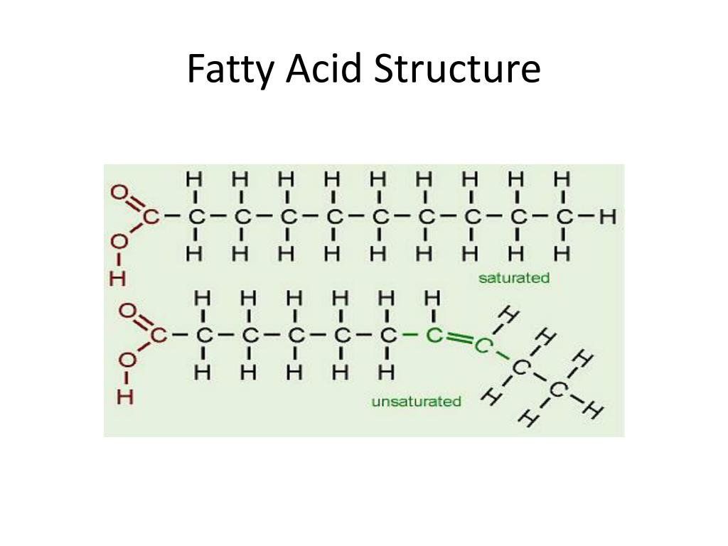 PPT Lipids PowerPoint Presentation Free Download ID 2207635