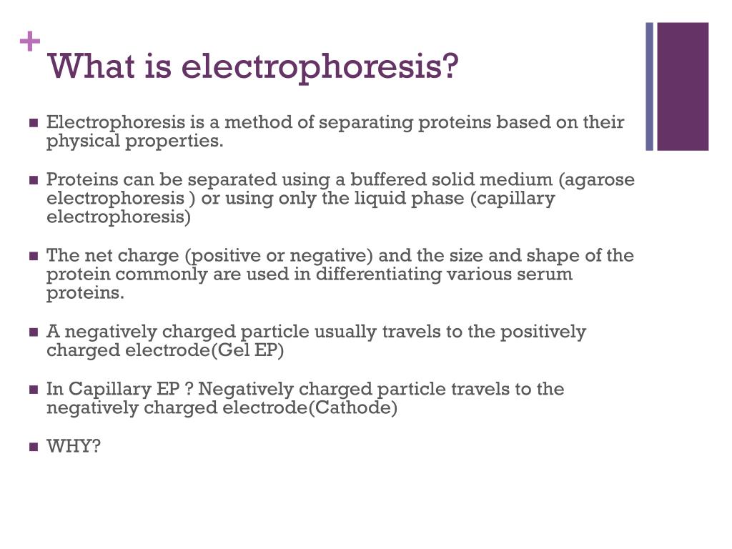 PPT Serum Protein Electrophoresis with Immunofixation PowerPoint