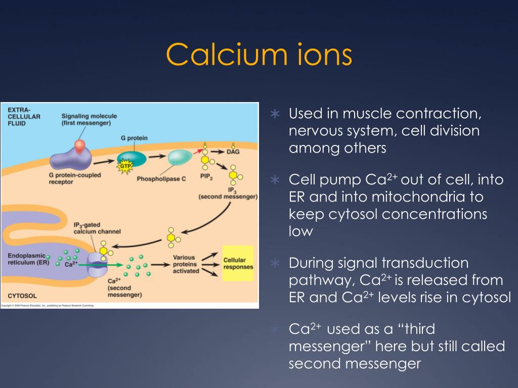 Aufbau Diagram For Calcium Ion