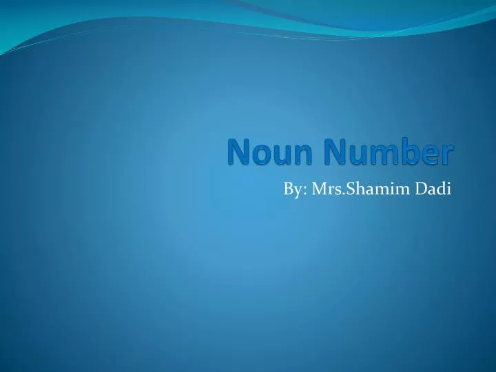 presentation on noun number