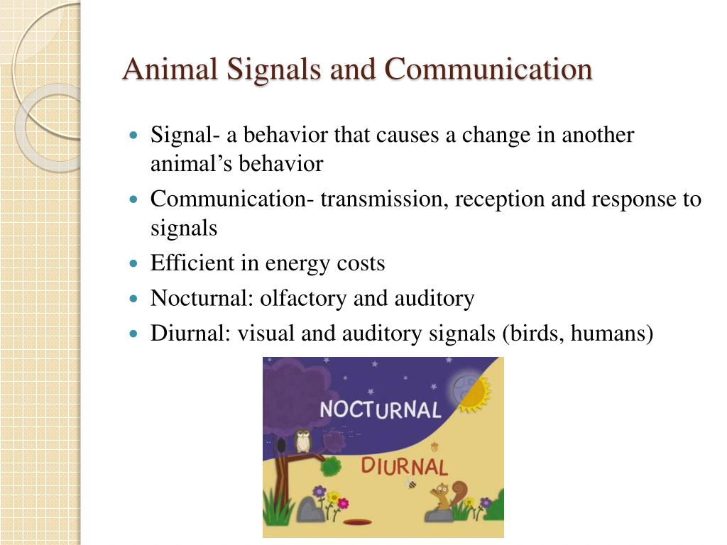 PPT - Animal Signals and Communication PowerPoint Presentation, free  download - ID:2208917
