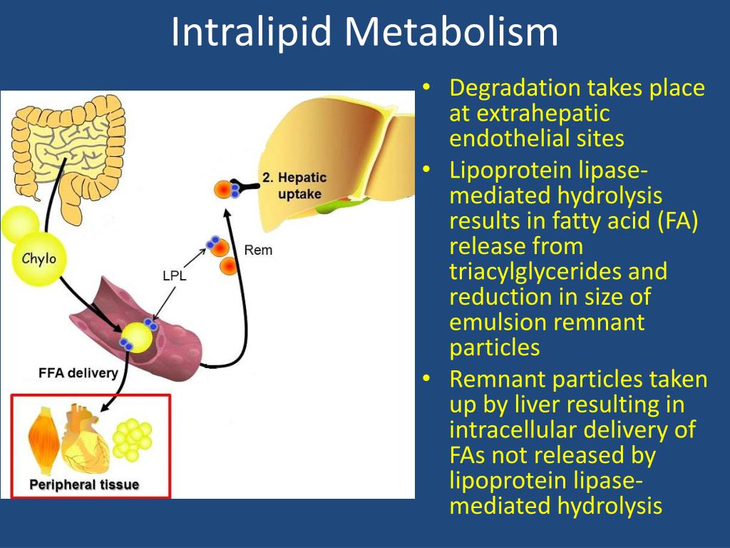 lipid emulsion therapy lipid emulsion therapy