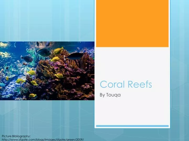 PPT - Coral Reefs PowerPoint Presentation, free download - ID:2210431