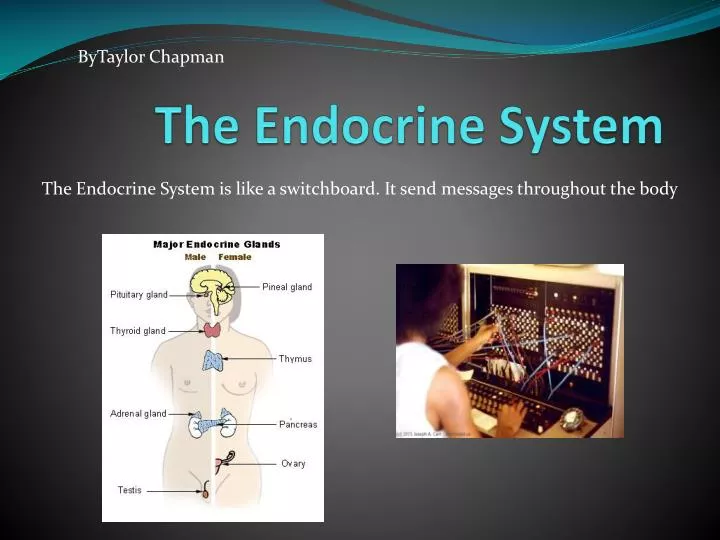 endocrine system endocrine system review Endocrine system review graphics are used with permission of: pearson education inc, publishing as benjamin cummings ( ) page 1. endocrine system endocrine system review Endocrine system review graphics are used with permission of: pearson education inc, publishing as benjamin cummings ( ) page 1.