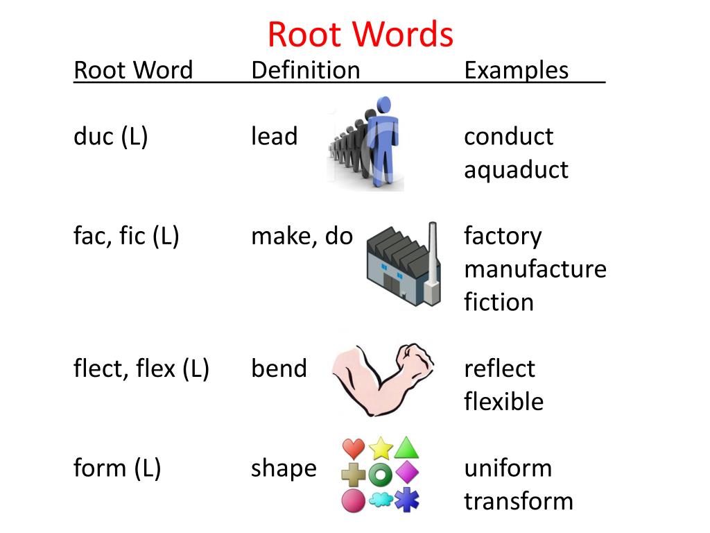 root word to presentation