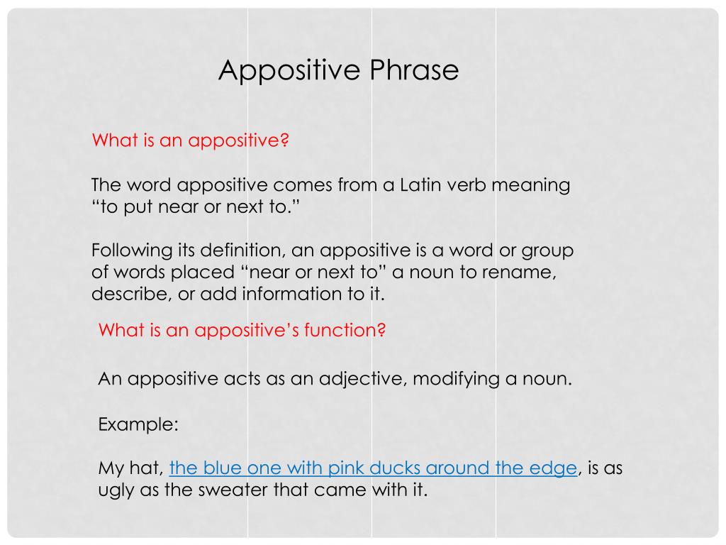 what is an appositive what is an appositive