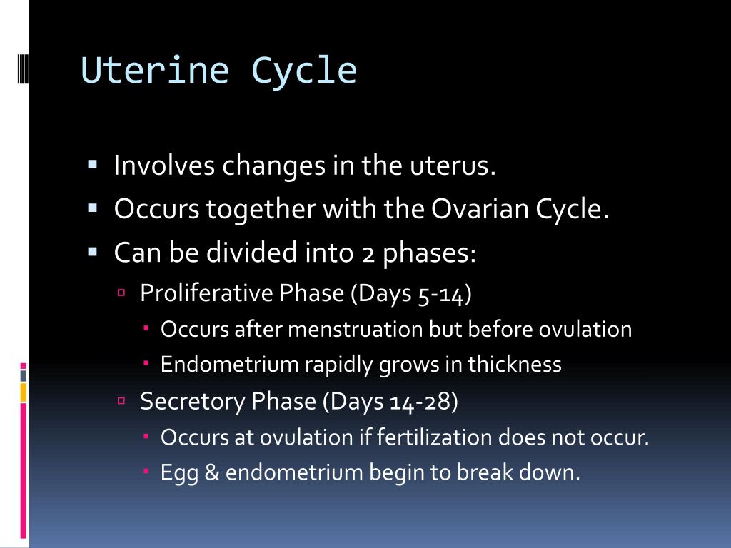 PPT - Menstrual Cycle, Pregnancy, & Birth PowerPoint