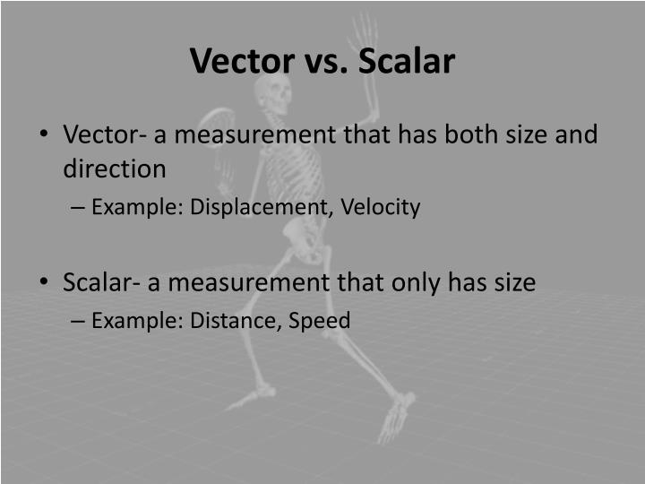 Scalar Vs Vector Network Analyzer